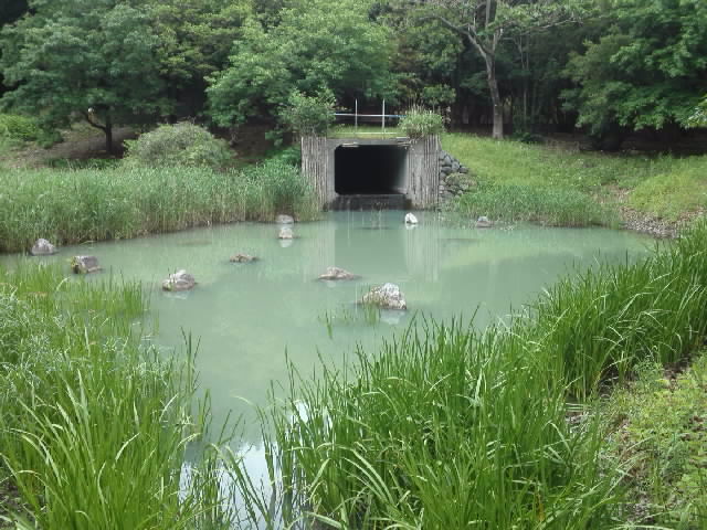 f:id:kaz0511:20210507111901j:plain