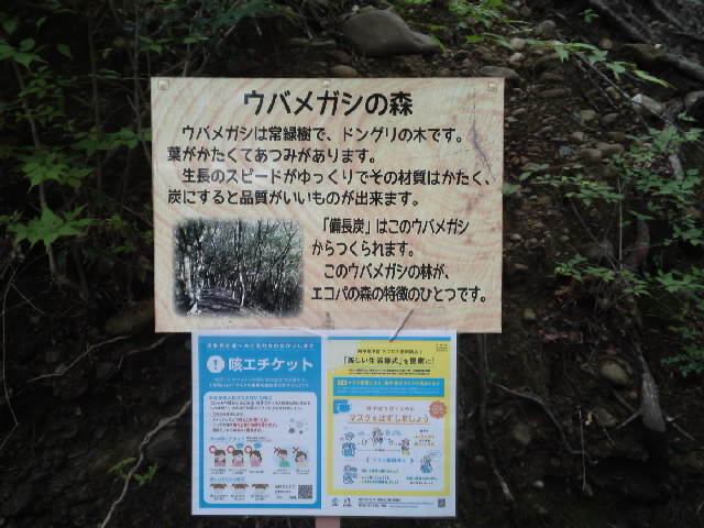 f:id:kaz0511:20210507113723j:plain