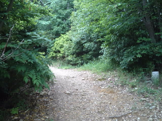 f:id:kaz0511:20210507114407j:plain