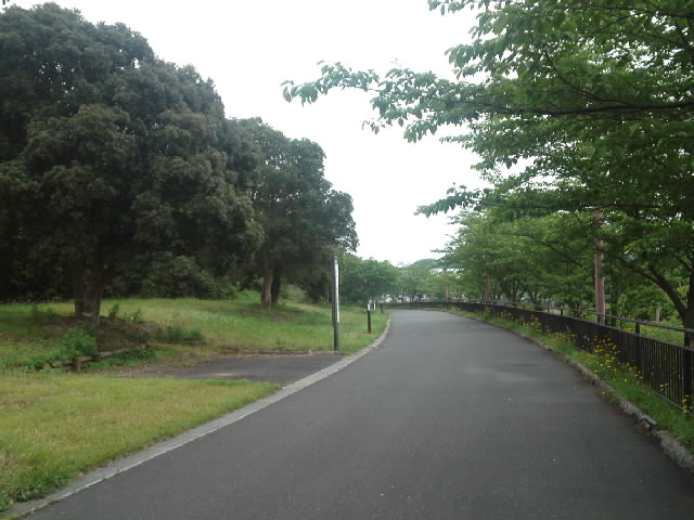 f:id:kaz0511:20210507120055j:plain