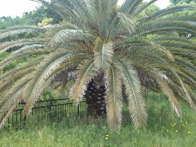 f:id:kaz0511:20210507120957j:plain