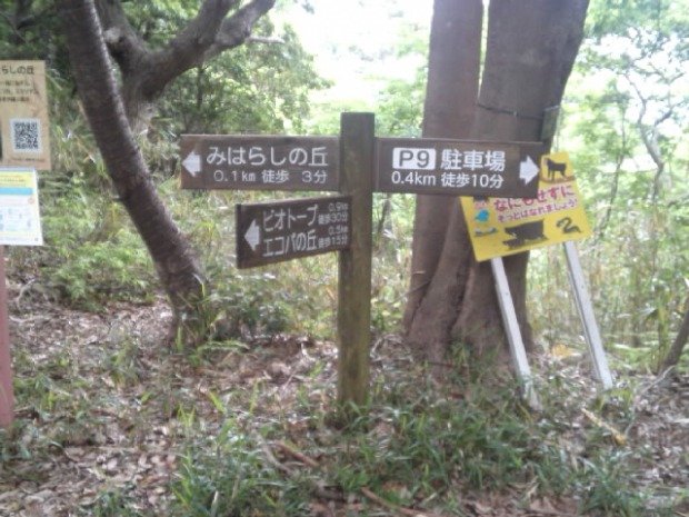 f:id:kaz0511:20210507193715j:plain
