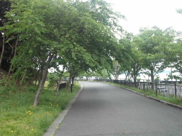 f:id:kaz0511:20210507195529j:plain
