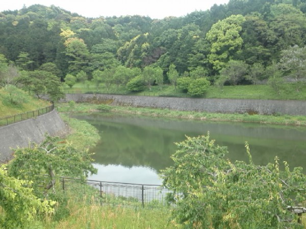f:id:kaz0511:20210507210137j:plain