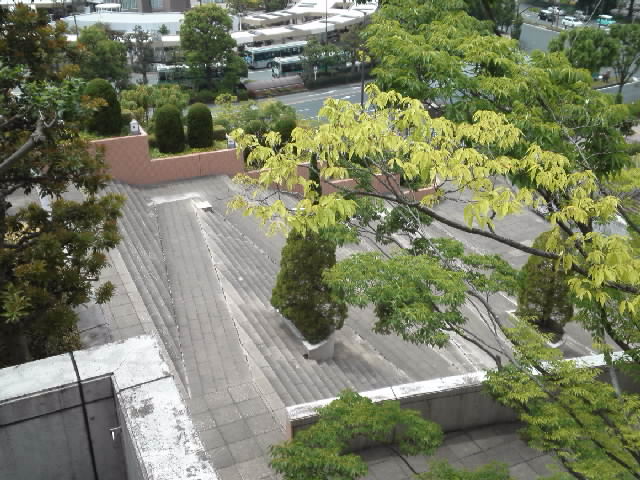f:id:kaz0511:20210508123922j:plain
