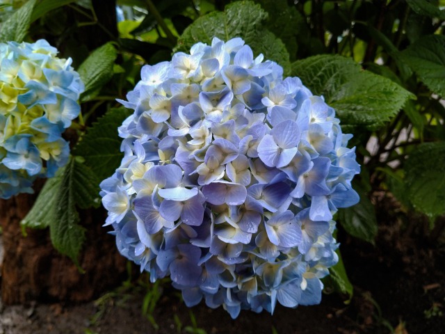 f:id:kaz0511:20210605105617j:plain