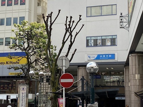 ゲームショップとかブックオフとか巡ってきた 本厚木 相鉄線沿い編 元祖 一堂