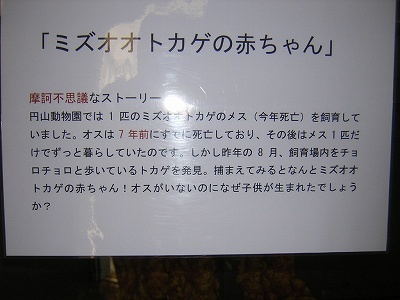 f:id:kaz3yang:20070929204248j:image