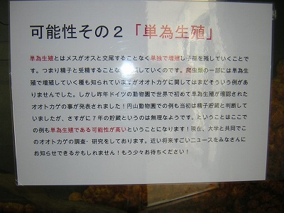 f:id:kaz3yang:20070929204326j:image