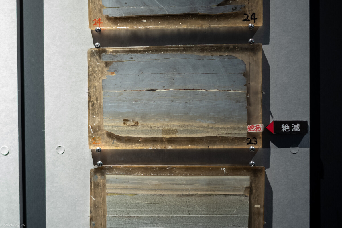 @因果 ページ 因果より先に、構造を見る - ニューロサイエンスとマーケティングの間