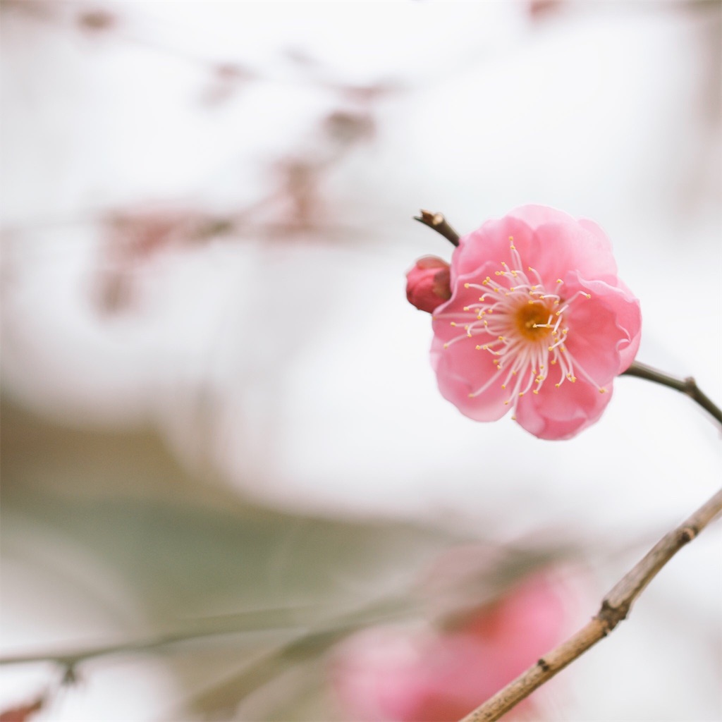 f:id:kaz_dot:20170103232713j:image