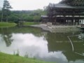 平等院