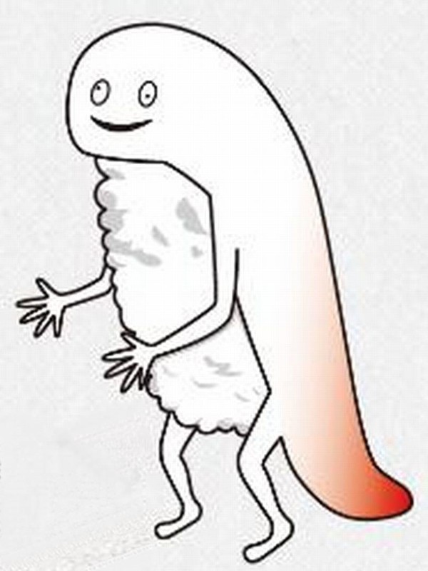 ずーしーほっきー2d