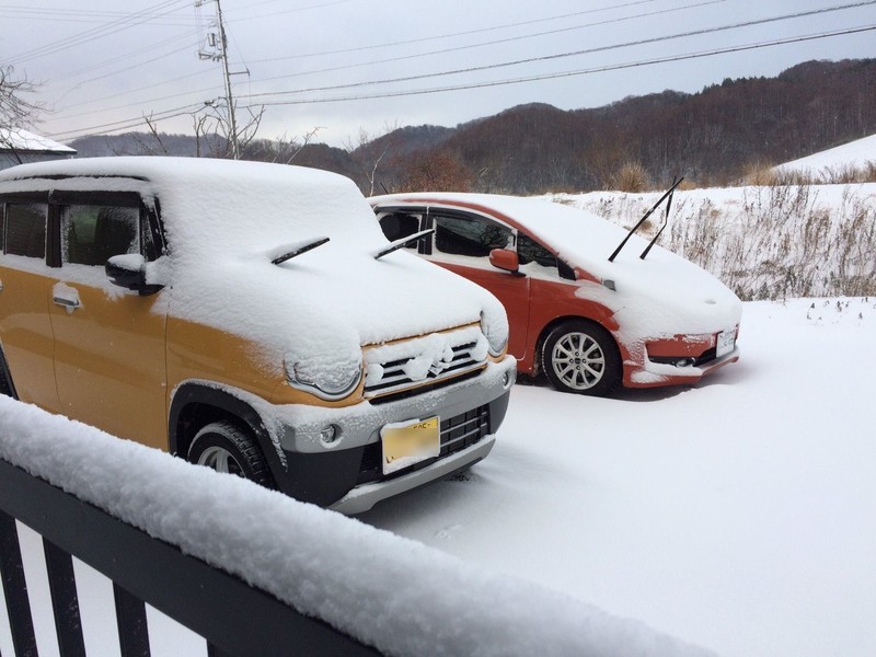 雪のオレトラ兄弟