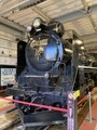 D51