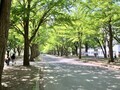 13条門