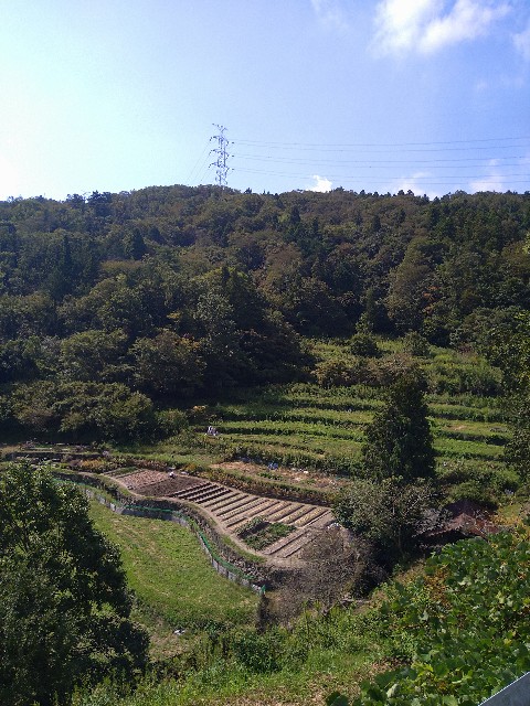 f:id:kazamakizuna:20231006092530j:image