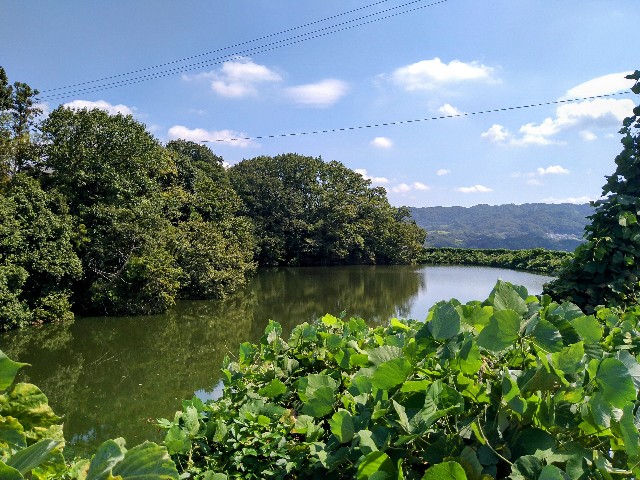 f:id:kazamakizuna:20231006094634j:image