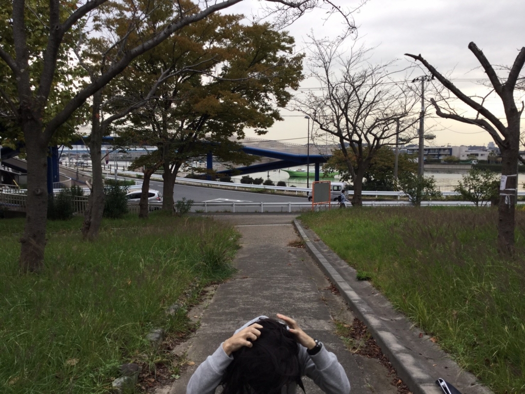 f:id:kazamakun1214:20161025222731j:plain f:id:kazamakun1214:20161025222731j:plain