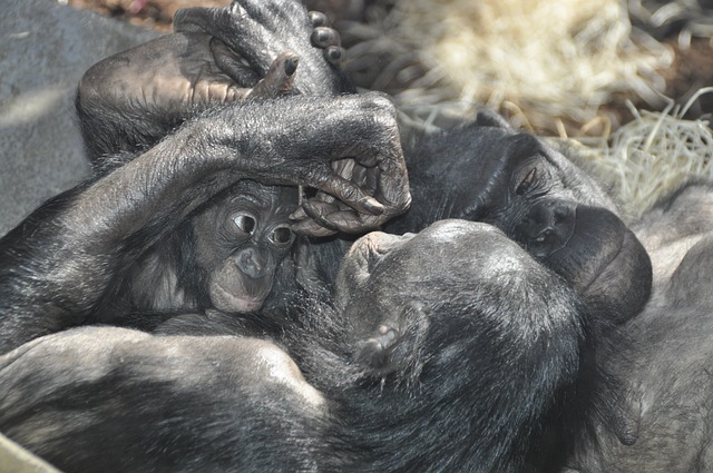 なんの意味もないけど 代男性がオムツを履いて眠ってみた ケイボンのブログ