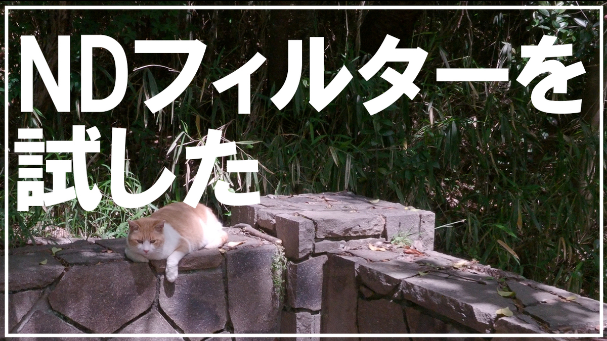 f:id:kazamidorikun:20210725215739j:plain