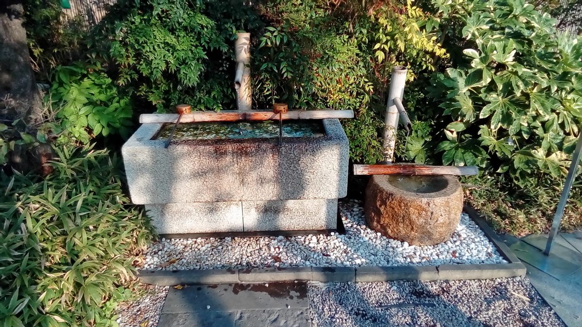 f:id:kazamori:20191105123607j:plain f:id:kazamori:20191105123607j:plain