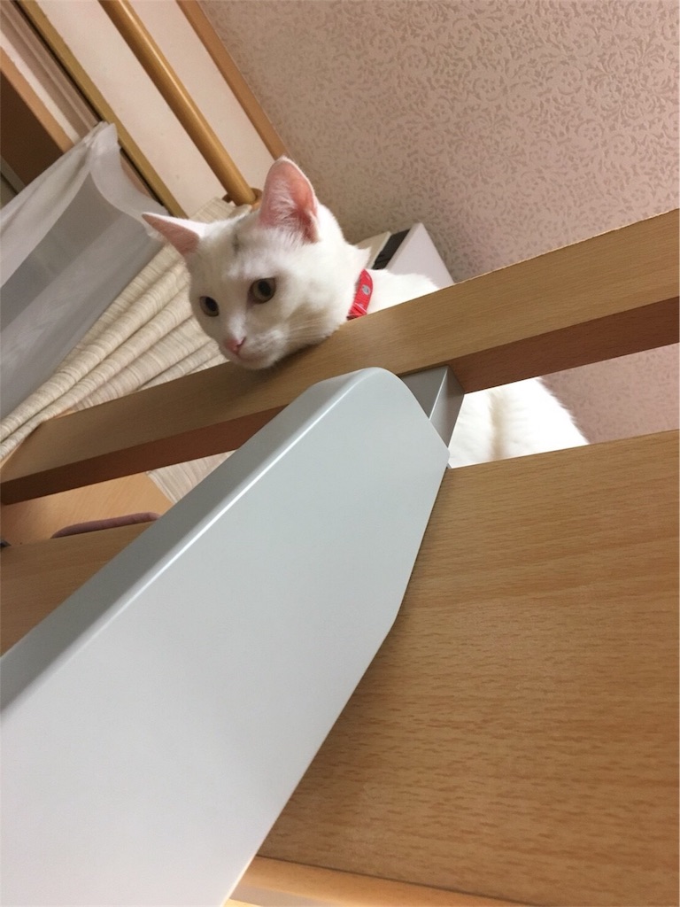 f:id:kazanehime:20180708143853j:image f:id:kazanehime:20180708143853j:image