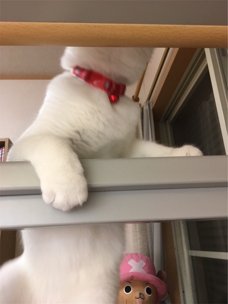 f:id:kazanehime:20180708143901j:image f:id:kazanehime:20180708143901j:image