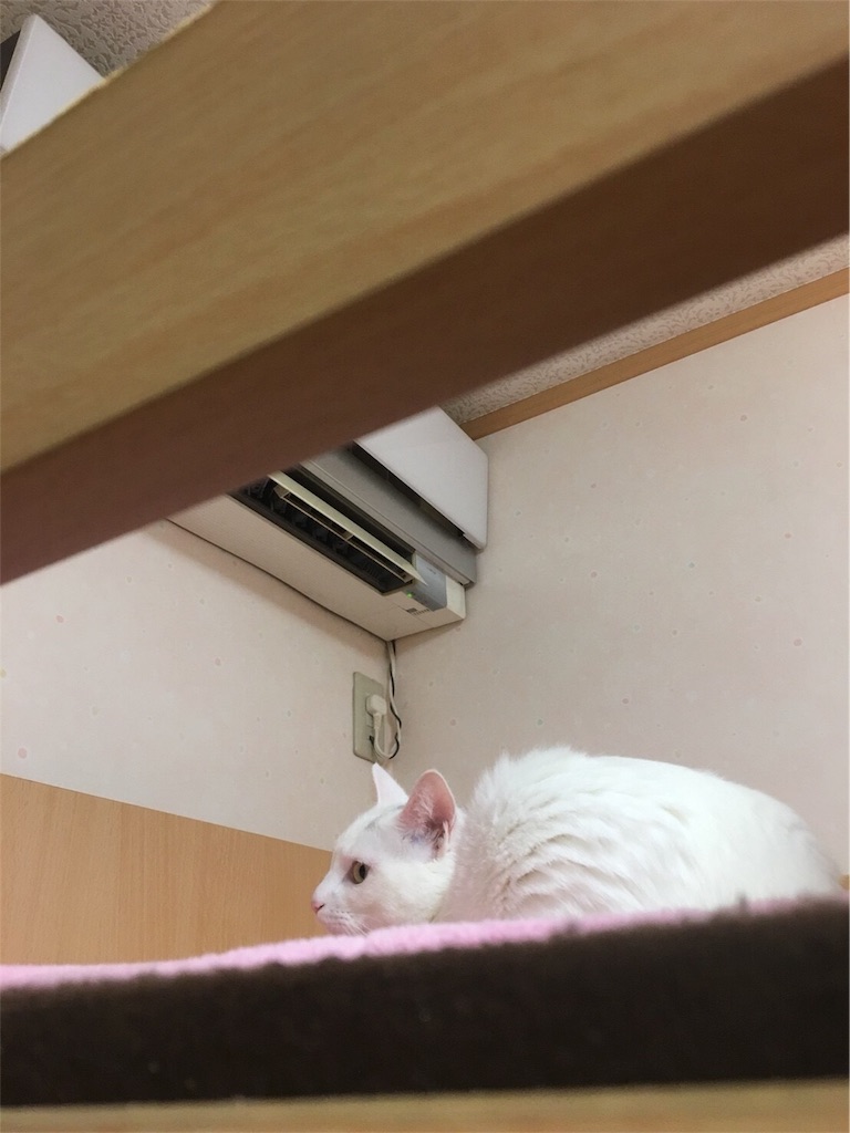 f:id:kazanehime:20180708143915j:image f:id:kazanehime:20180708143915j:image