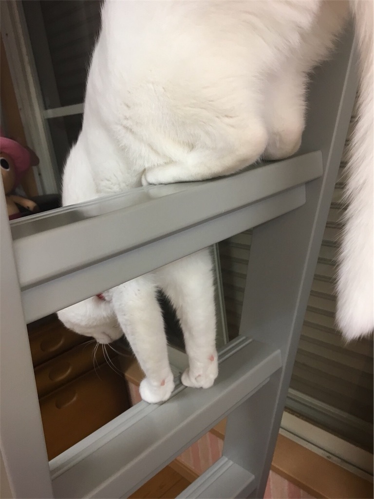 f:id:kazanehime:20180708143919j:image f:id:kazanehime:20180708143919j:image