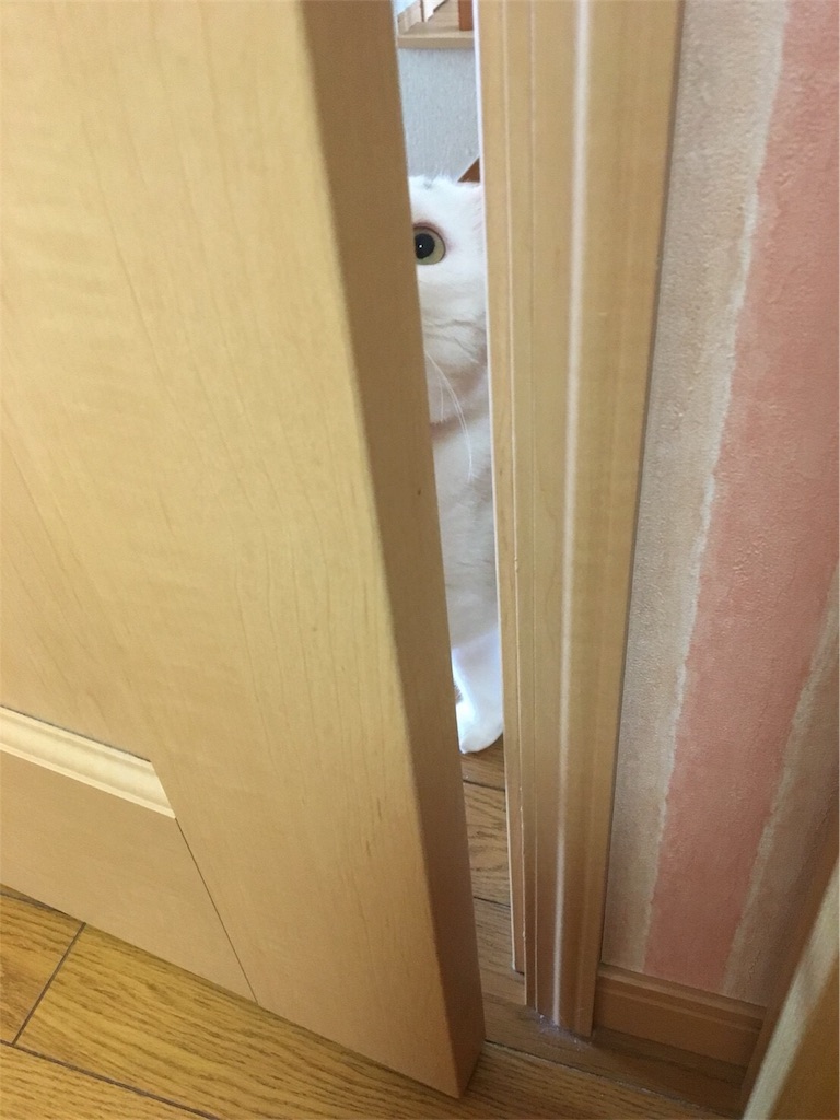 f:id:kazanehime:20180708143927j:image f:id:kazanehime:20180708143927j:image