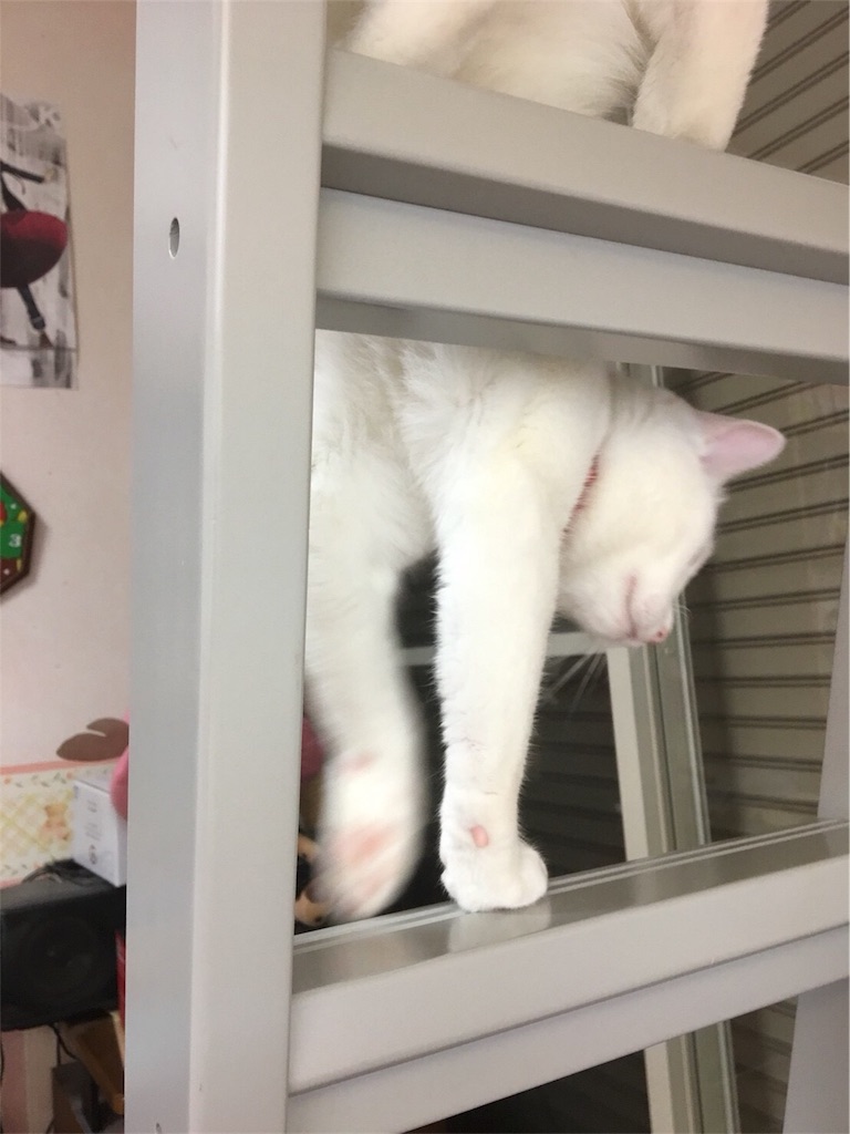 f:id:kazanehime:20180708143930j:image f:id:kazanehime:20180708143930j:image
