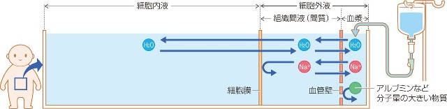 f:id:kazanoto:20210430111026j:image f:id:kazanoto:20210430111026j:image