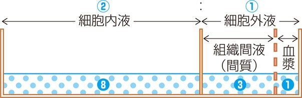 f:id:kazanoto:20210430111131j:image f:id:kazanoto:20210430111131j:image