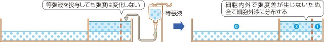 f:id:kazanoto:20210430111239j:image f:id:kazanoto:20210430111239j:image