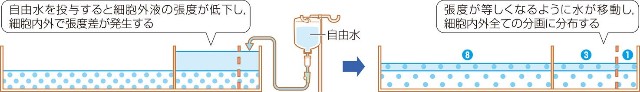 f:id:kazanoto:20210430111246j:image f:id:kazanoto:20210430111246j:image