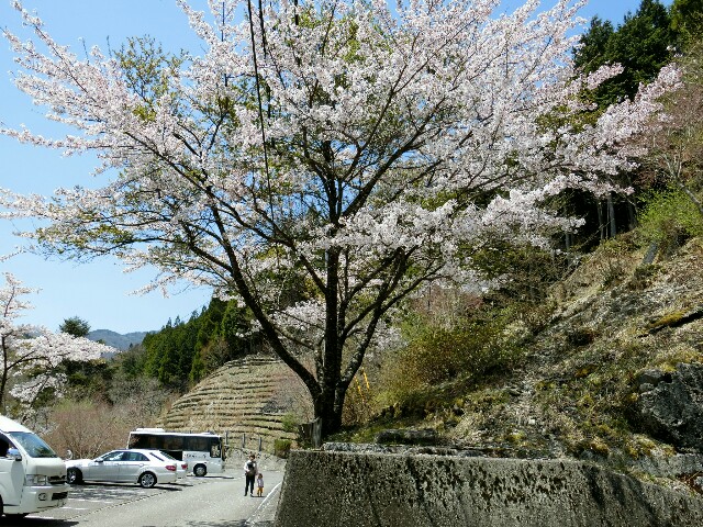 f:id:kazapari:20170508002255j:image f:id:kazapari:20170508002255j:image