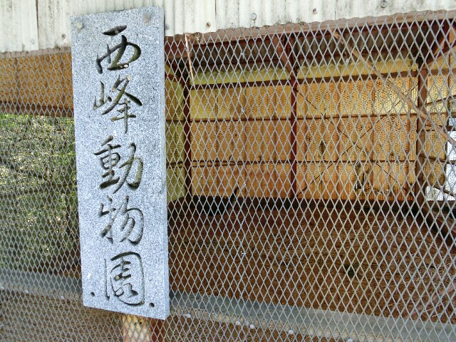 f:id:kazapari:20170508003735j:image f:id:kazapari:20170508003735j:image