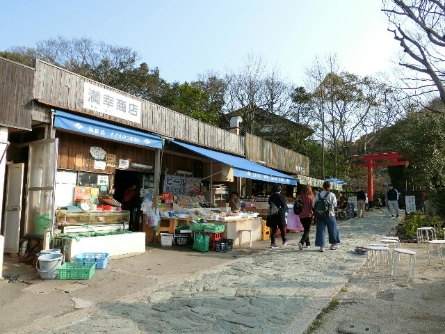f:id:kazapari:20180328154448j:image f:id:kazapari:20180328154448j:image