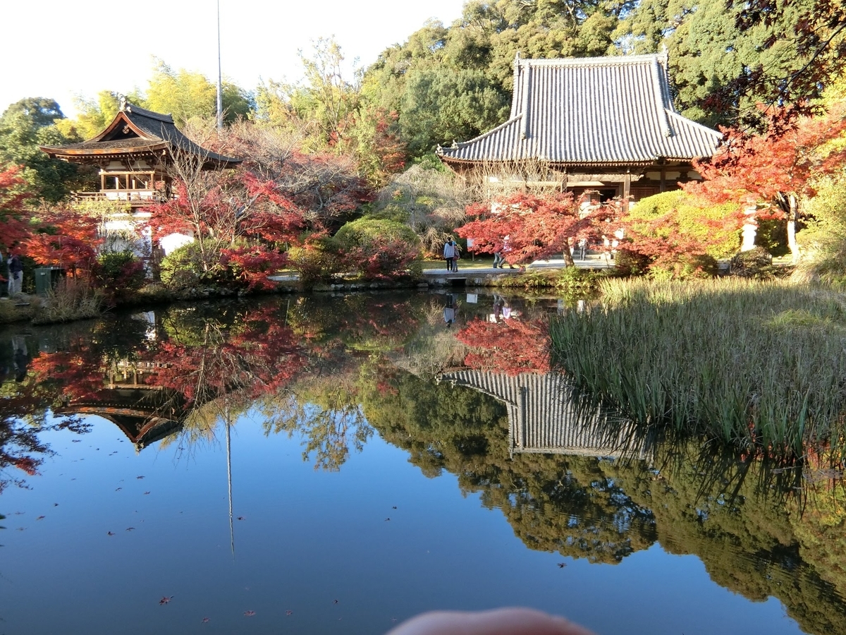 f:id:kazapari:20191127231224j:plain f:id:kazapari:20191127231224j:plain