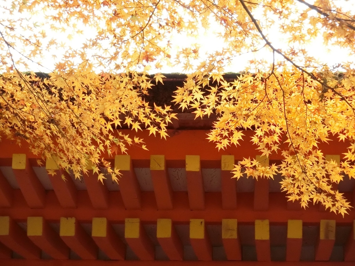 f:id:kazapari:20191128224541j:plain f:id:kazapari:20191128224541j:plain