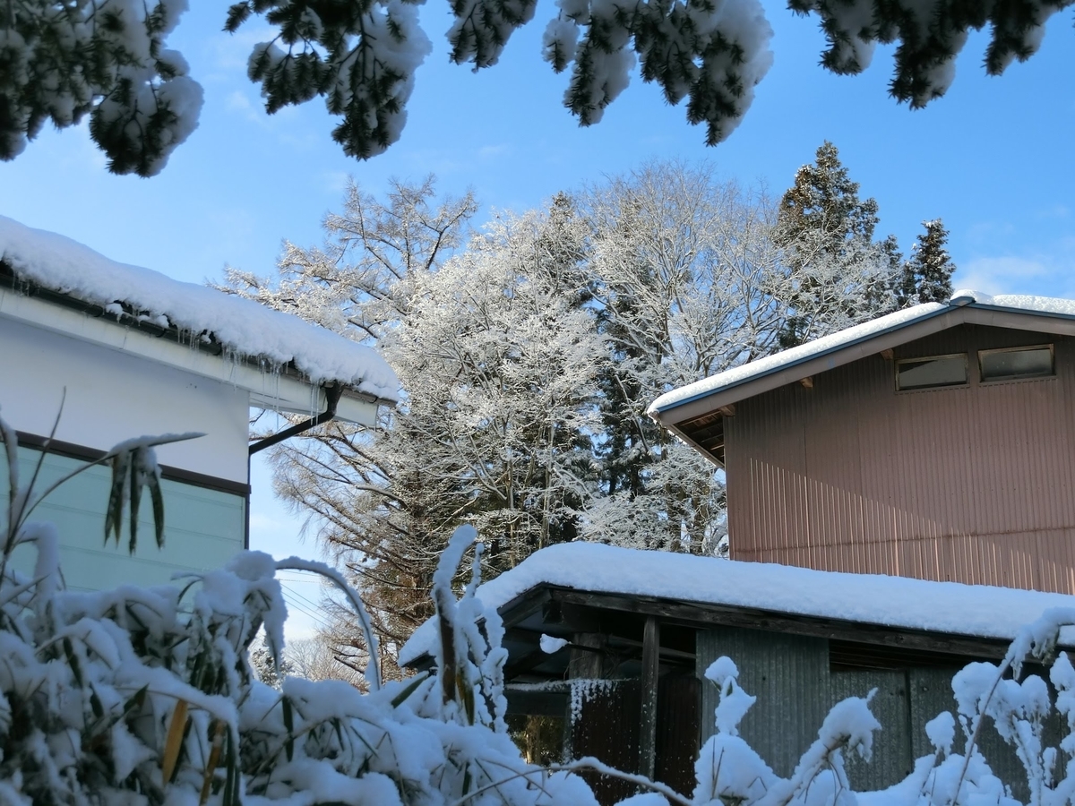 f:id:kazapari:20200106234117j:plain f:id:kazapari:20200106234117j:plain