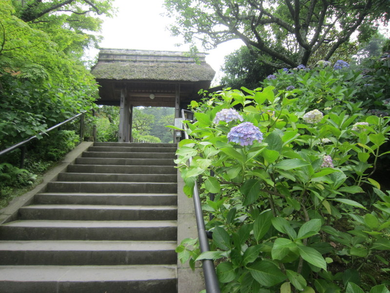 f:id:kaze-michi:20160704210138j:image:w360