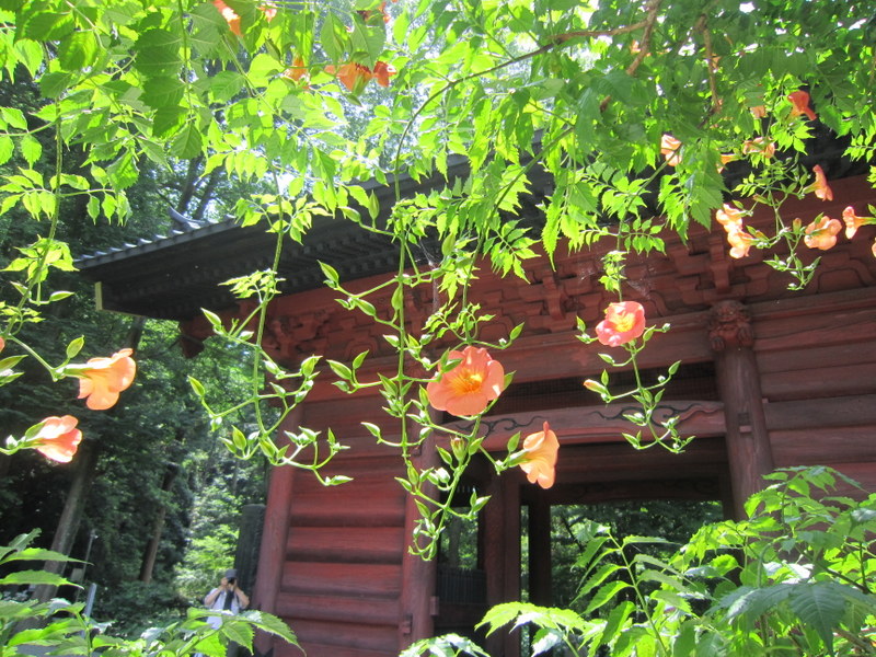 f:id:kaze-michi:20160707214352j:image:w360