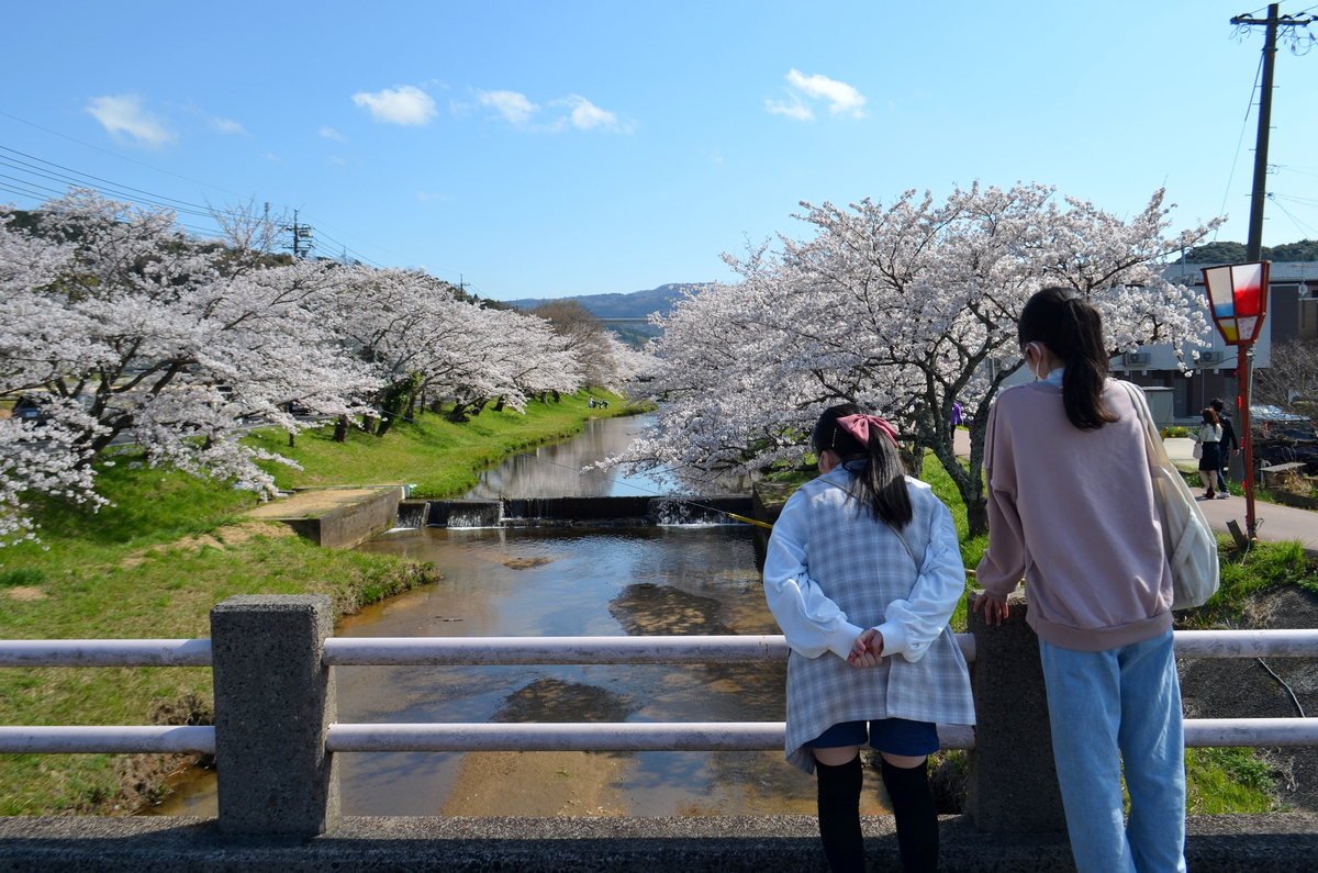 f:id:kaze-ran:20220405201503j:plain
