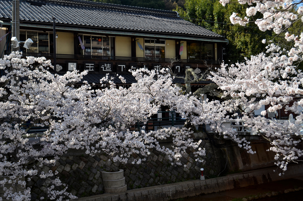 f:id:kaze-ran:20220405201542j:plain