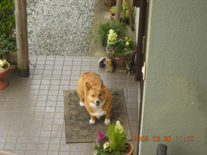 f:id:kaze1011:20080330110025j:plain