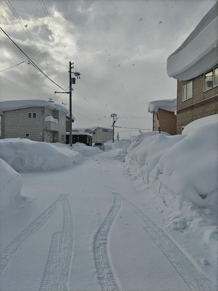 岩見沢市民もびっくりの大雪だった - 風に吹かれて