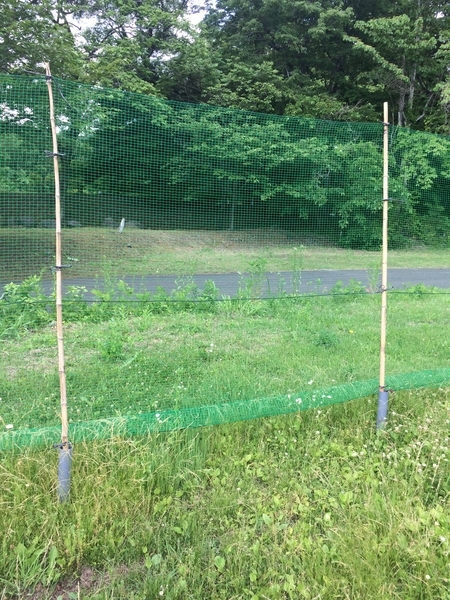 f:id:kaze69r:20190603091449j:plain f:id:kaze69r:20190603091449j:plain