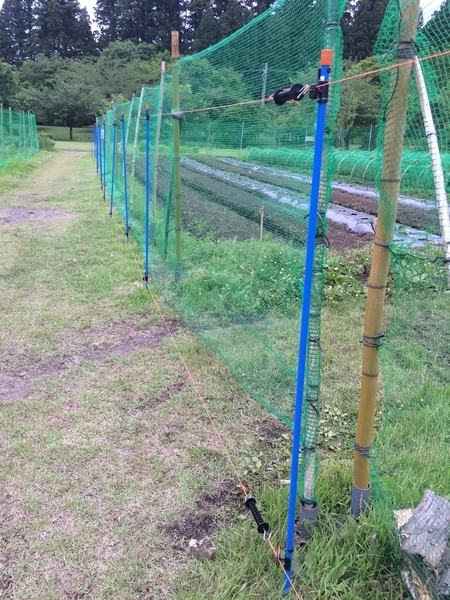 f:id:kaze69r:20190614173501j:plain f:id:kaze69r:20190614173501j:plain